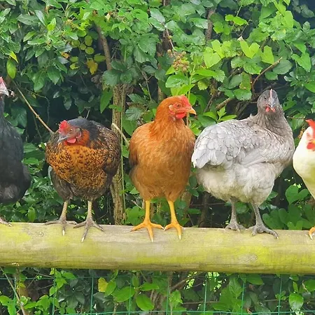 Des Trevignes Prázdninový dům *