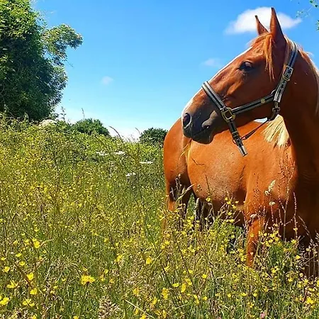 Des Trevignes Tatil Evi *
