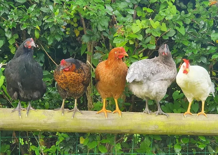 Des Trevignes بيت للعطل *