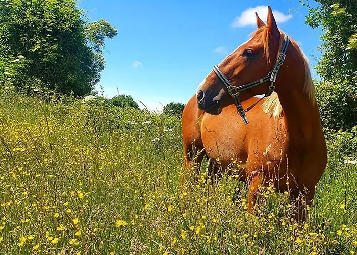 Des Trevignes بيت للعطل *