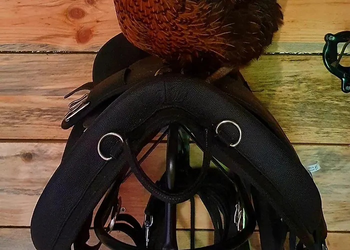 Des Trevignes بيت للعطل