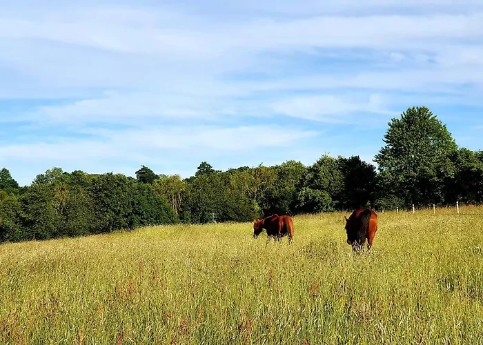 Des Trevignes بيت للعطل